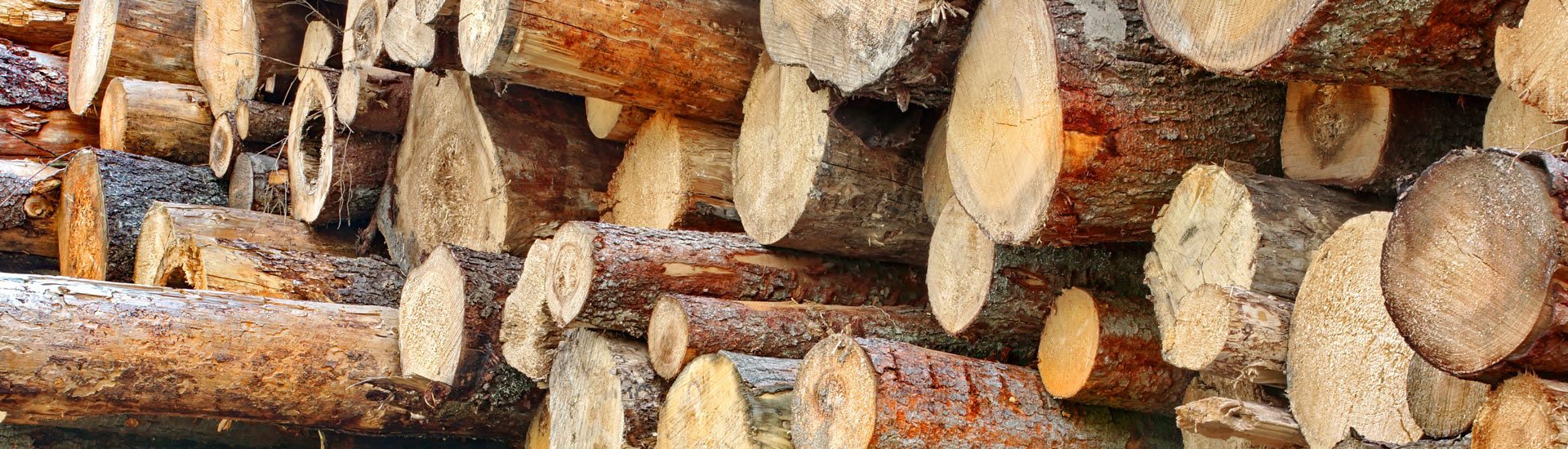 Stacked Wooden Logs